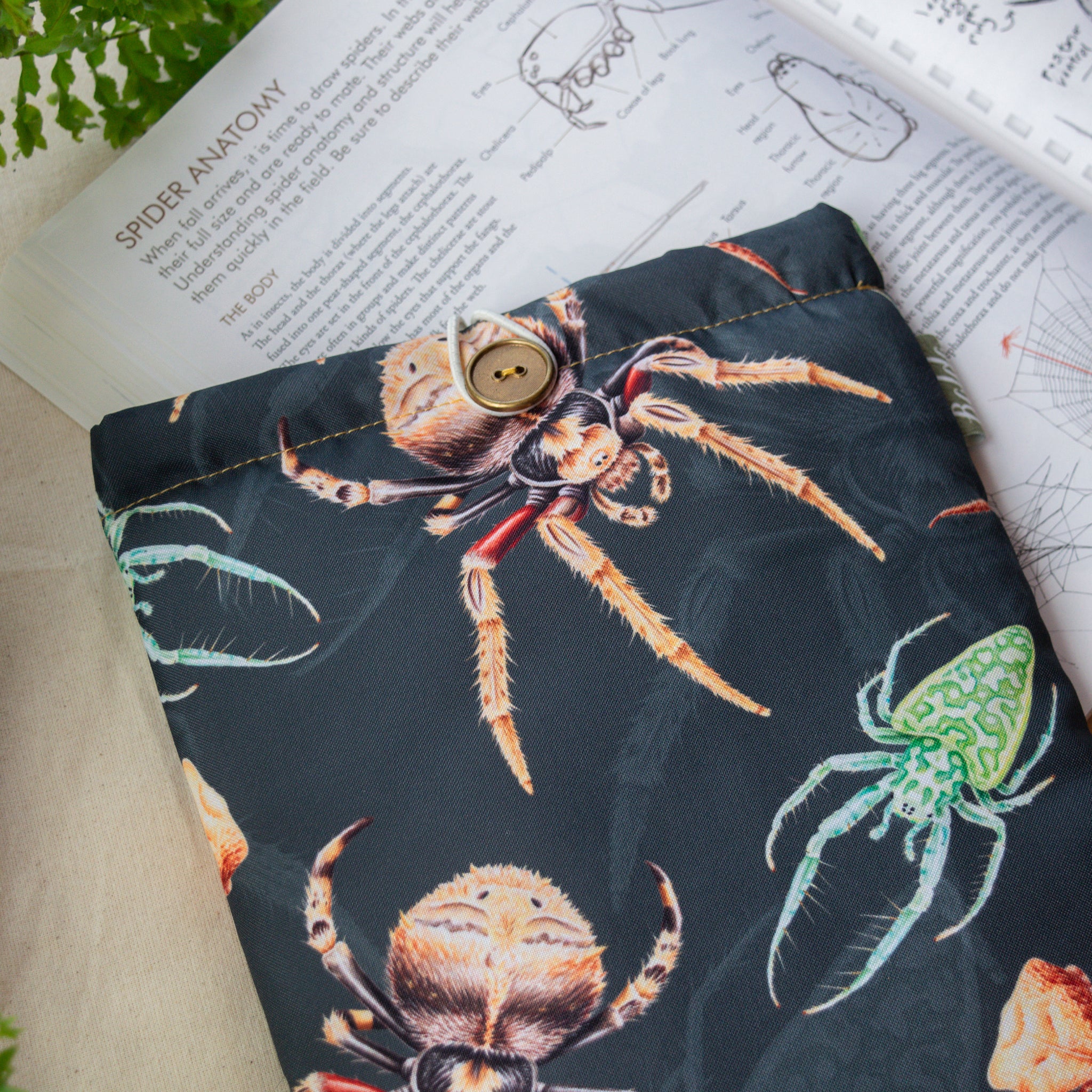 Funda libro Arañas