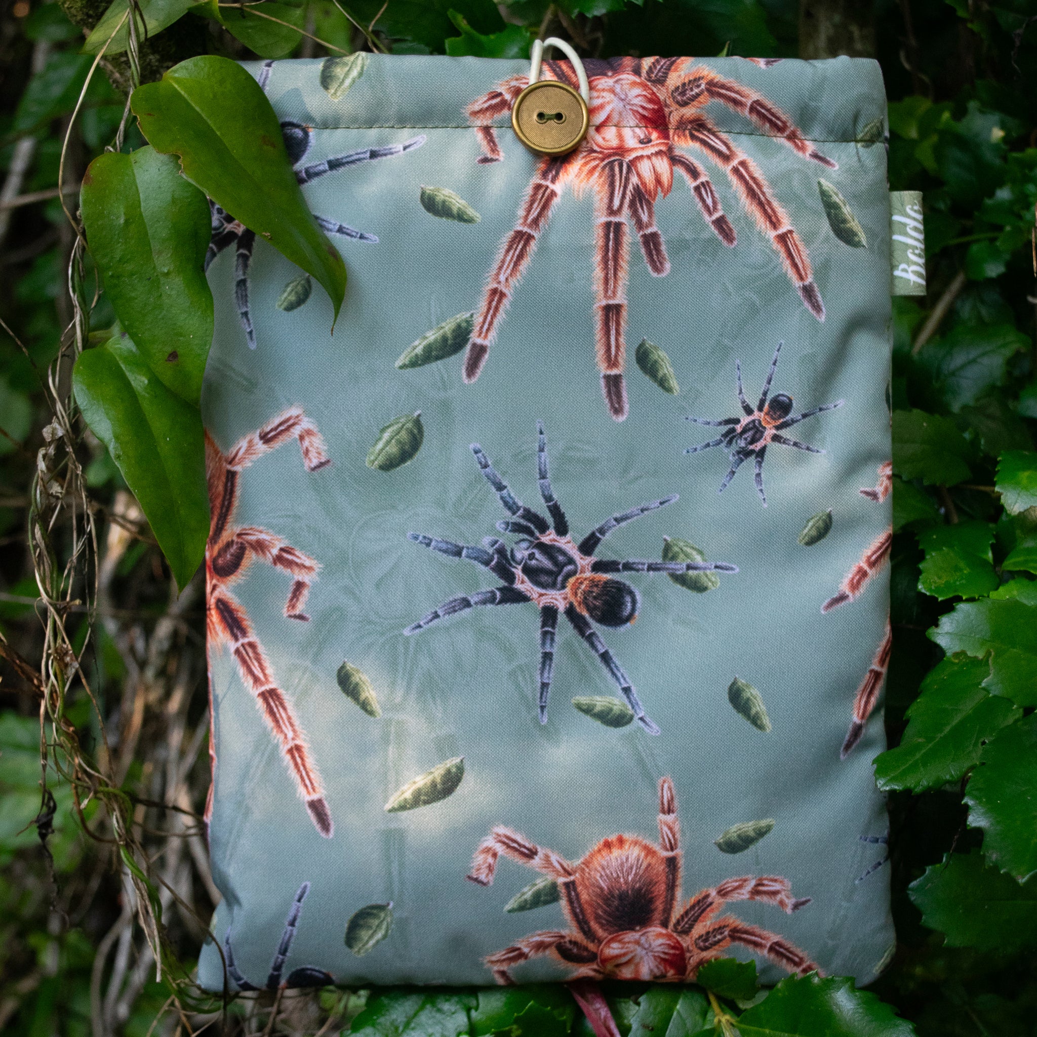 Funda libro Tarántulas