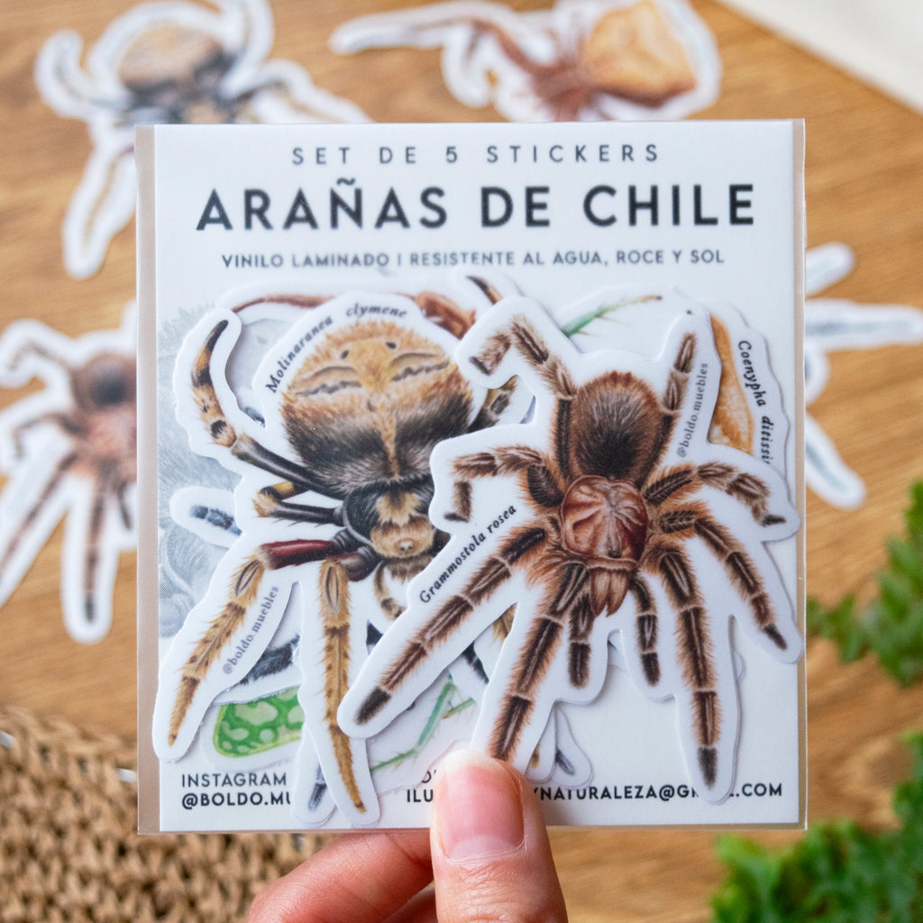 Stickers Arañas de Chile