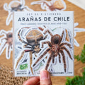 Stickers Arañas de Chile