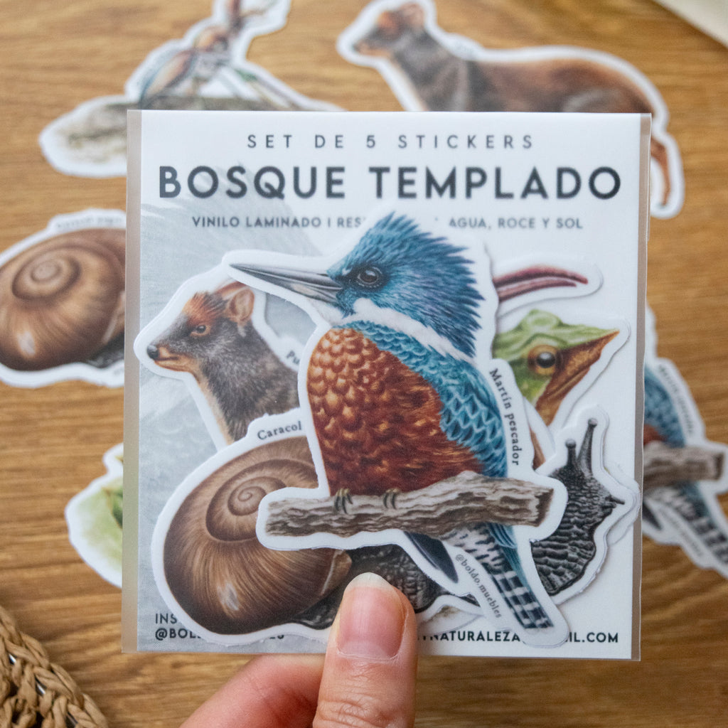 Stickers Bosque templado