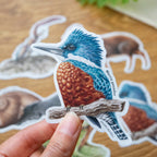 Stickers Bosque templado