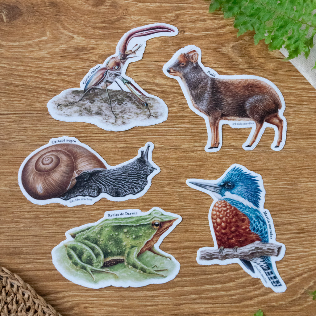 Stickers Bosque templado