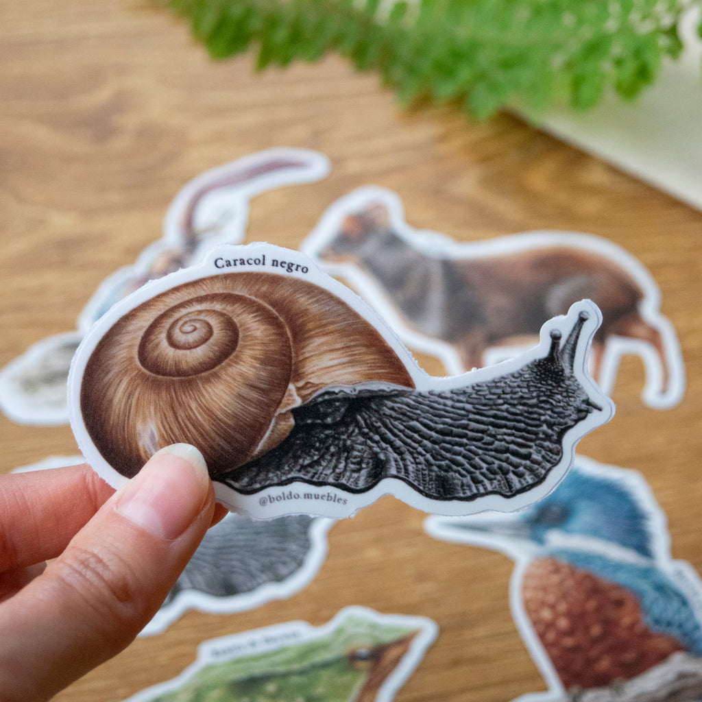 Stickers Bosque templado