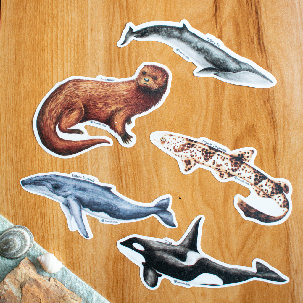 Stickers Fauna Marina