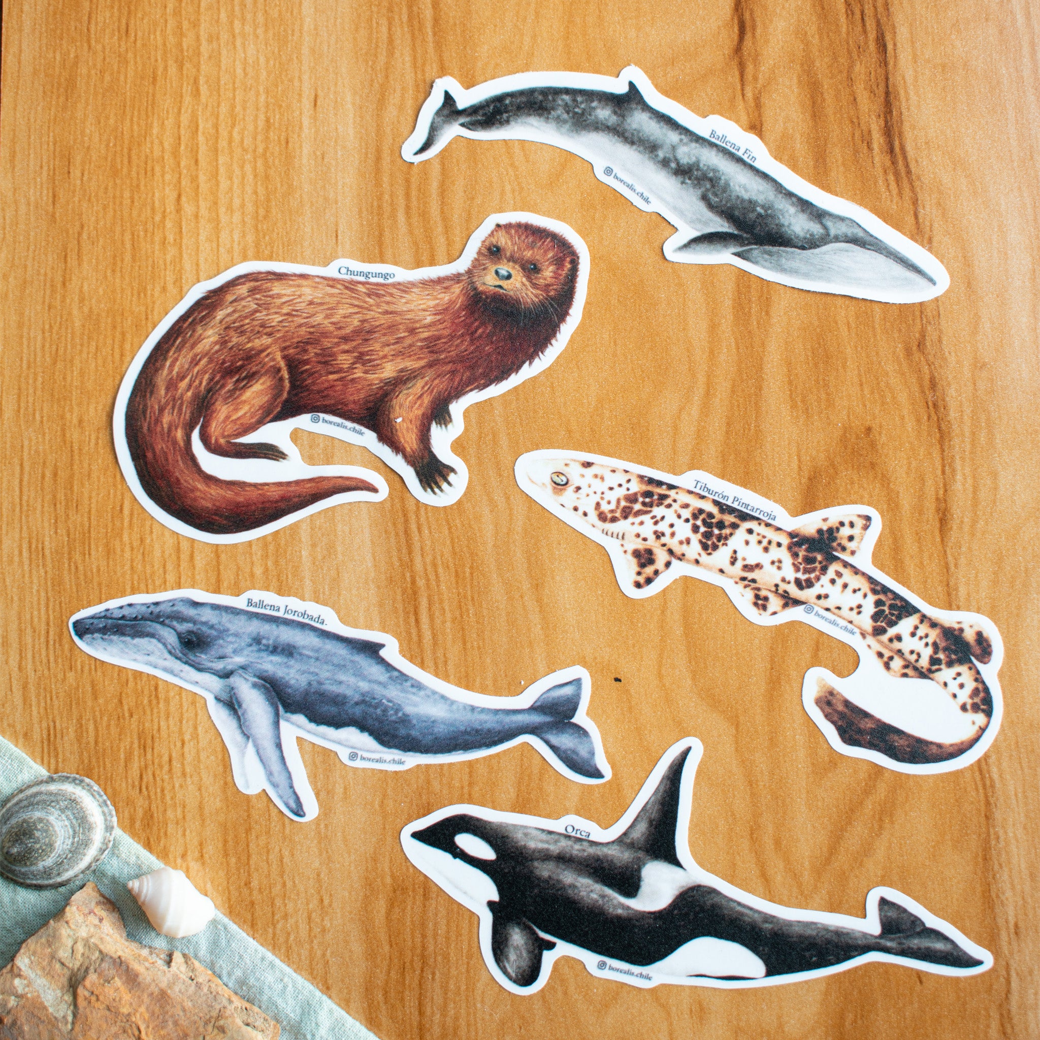 Stickers Fauna Marina