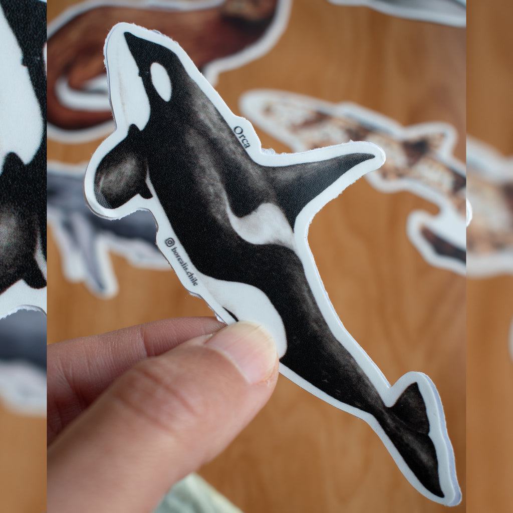 Stickers Fauna Marina