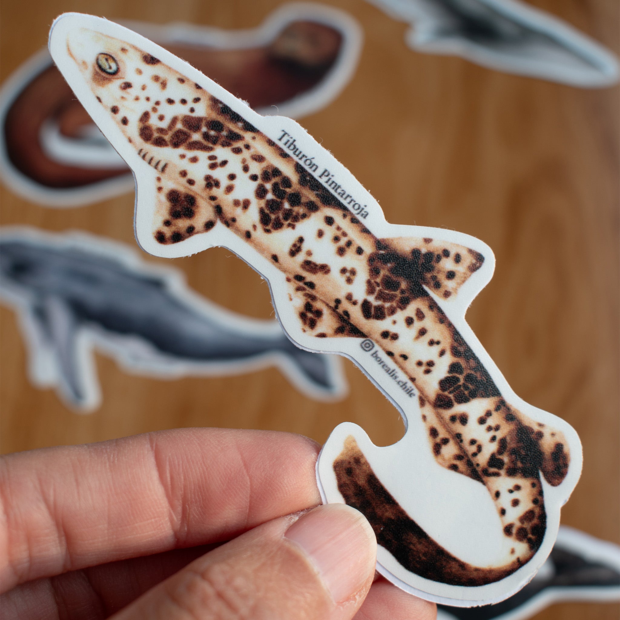 Stickers Fauna Marina