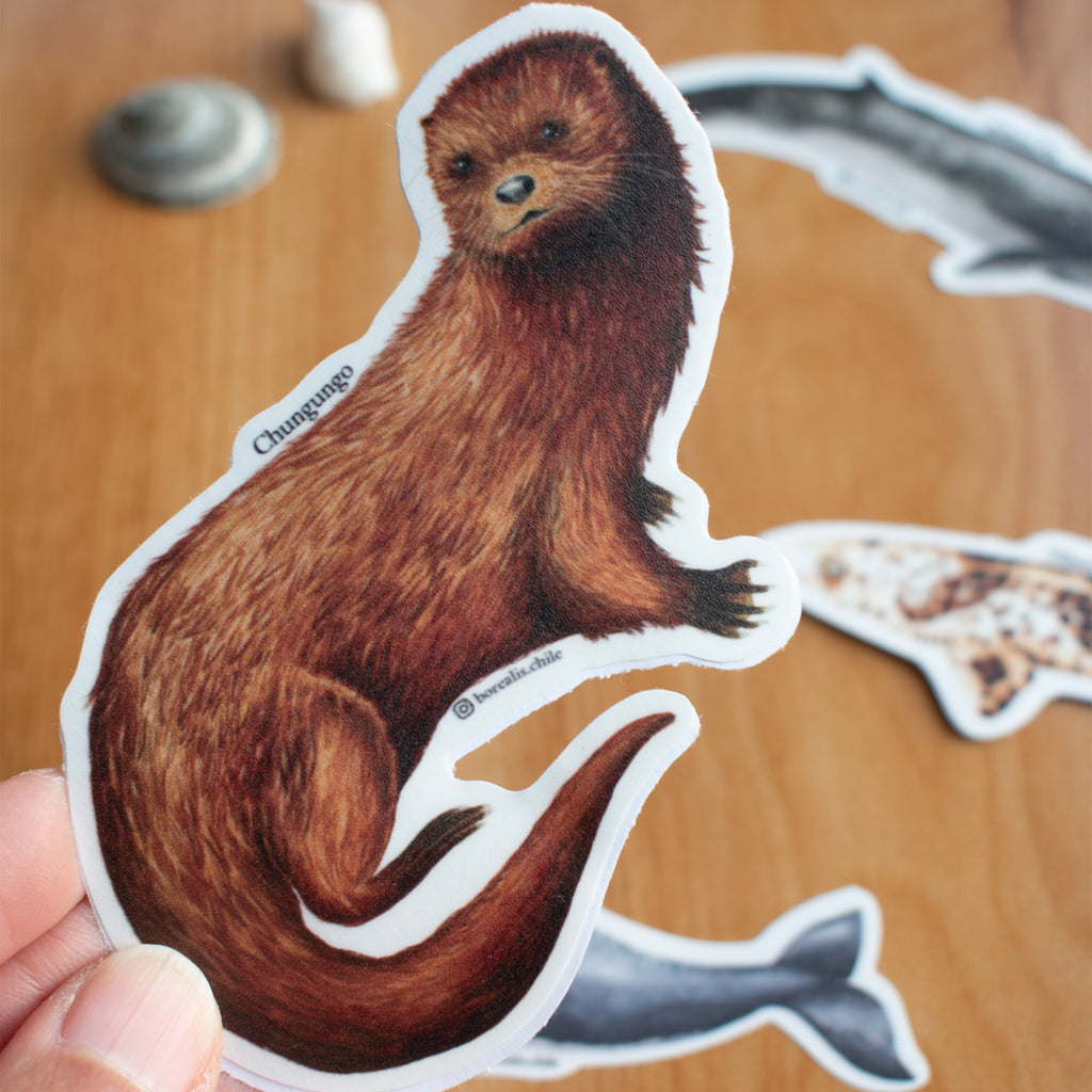 Stickers Fauna Marina