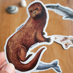 Stickers Fauna Marina