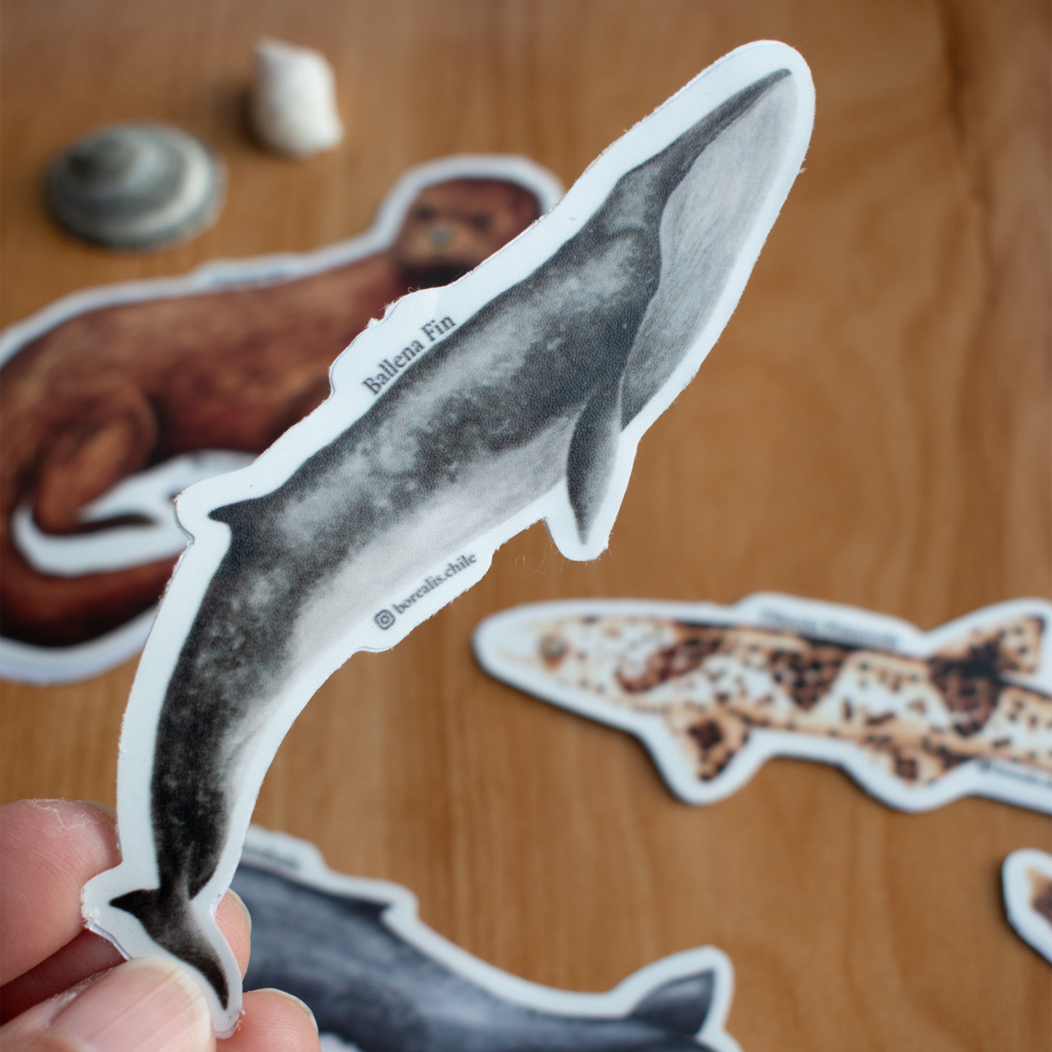Stickers Fauna Marina