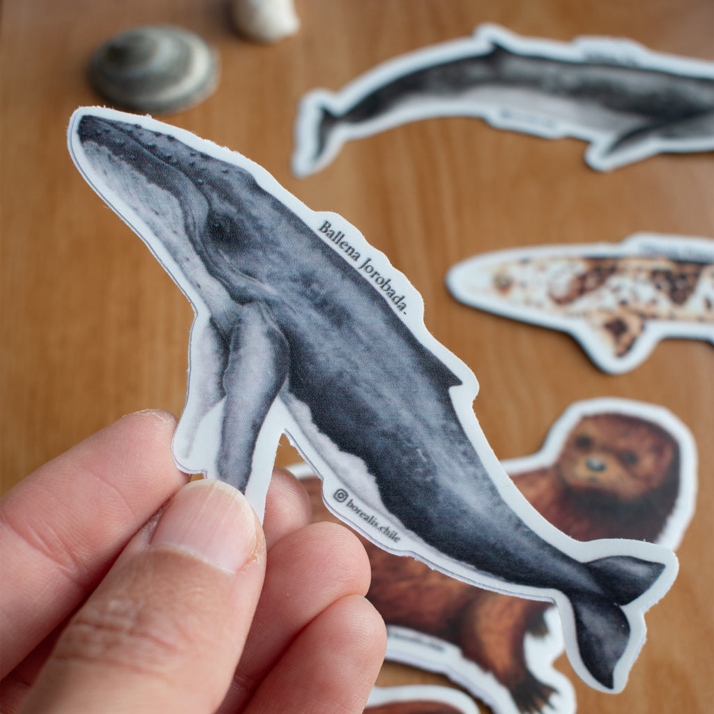 Stickers Fauna Marina