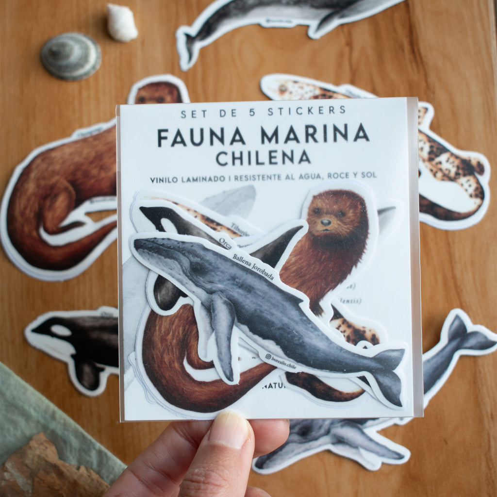 Stickers Fauna Marina