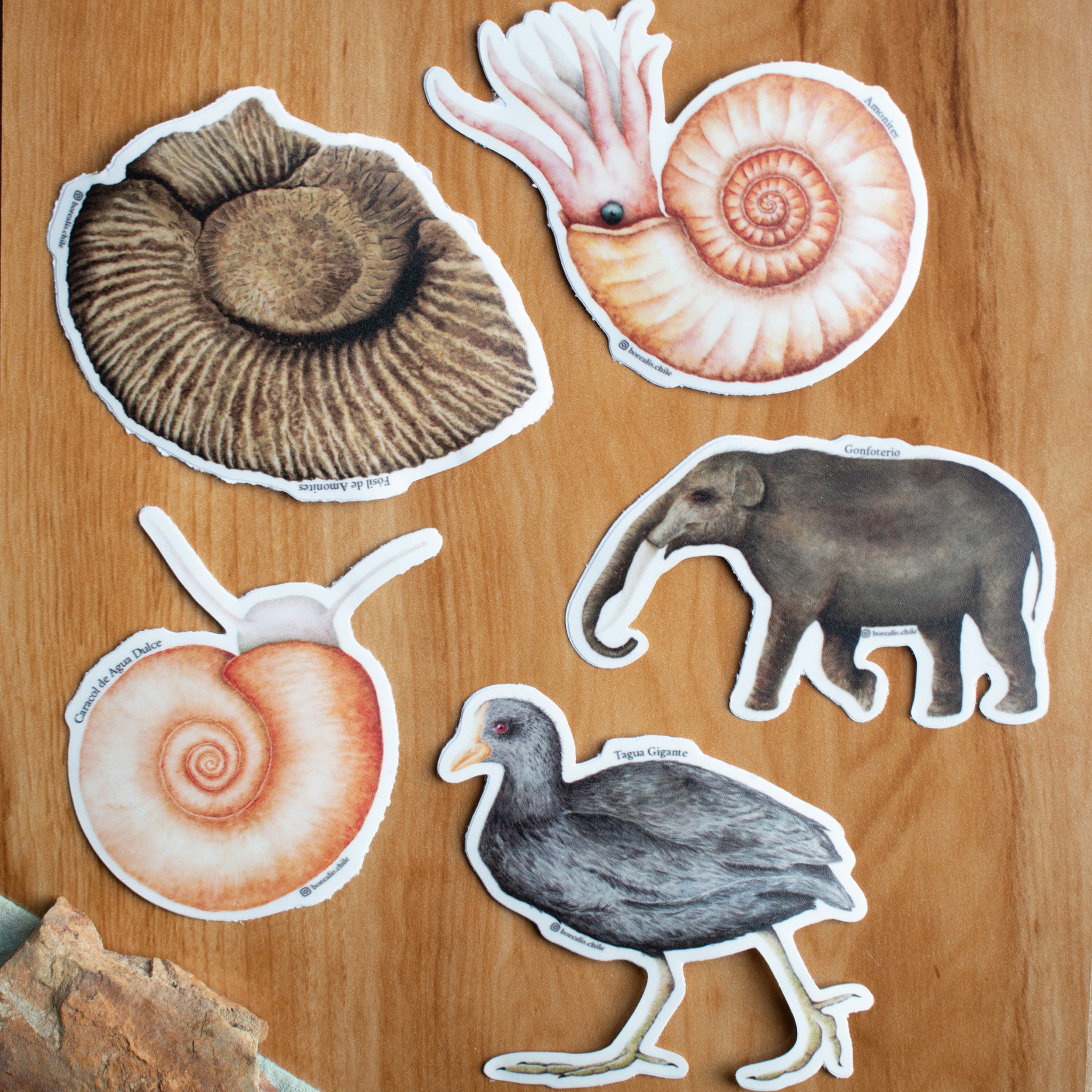 Stickers Paleofauna Chile Central