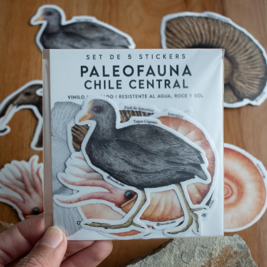 Stickers Paleofauna Chile Central